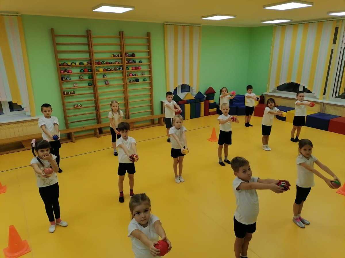 Физкультурное занятия в старшей группе детского сада: пример конспекта по фгос и прочее