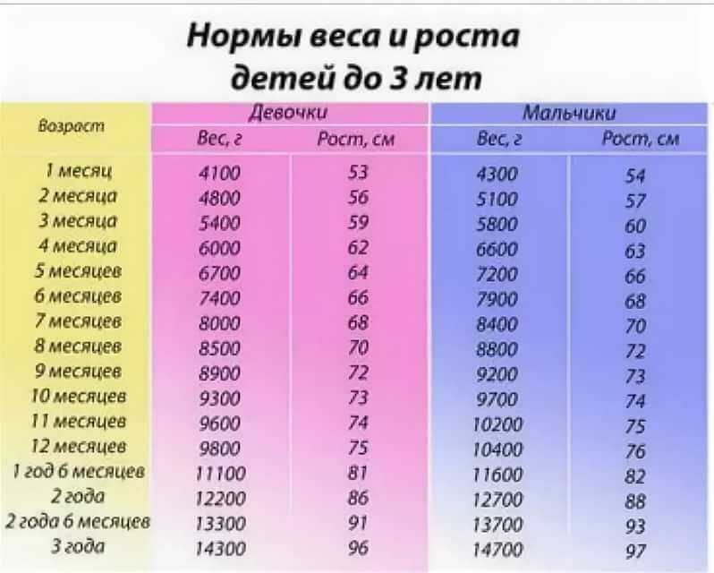 Развитие ребенка в 1 год 2 месяца: все что должен уметь делать малыш, физические параметры, а также особенности питания в год и два месяца