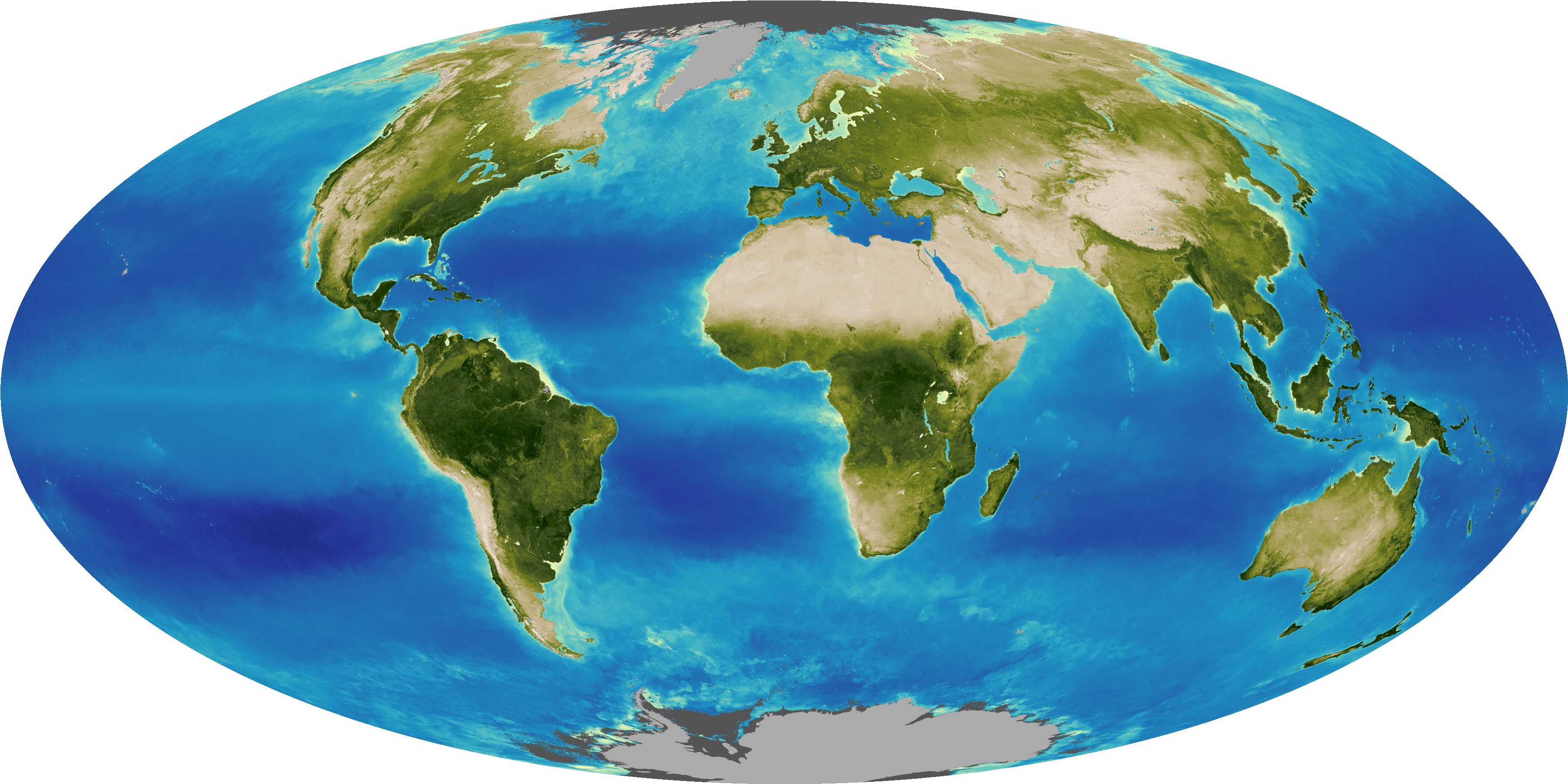 Обитатели мирового океана – животный мир и другая жизнь на поверхности и под водой