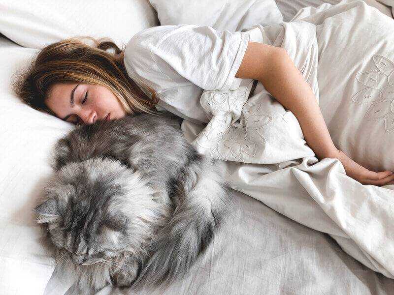 Как отучить собаку спать на кровати с хозяином – 5 простых метода | ваши питомцы