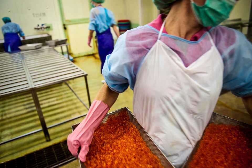 Отравление рыбой: симптомы, причины, лечение | энтеросгель