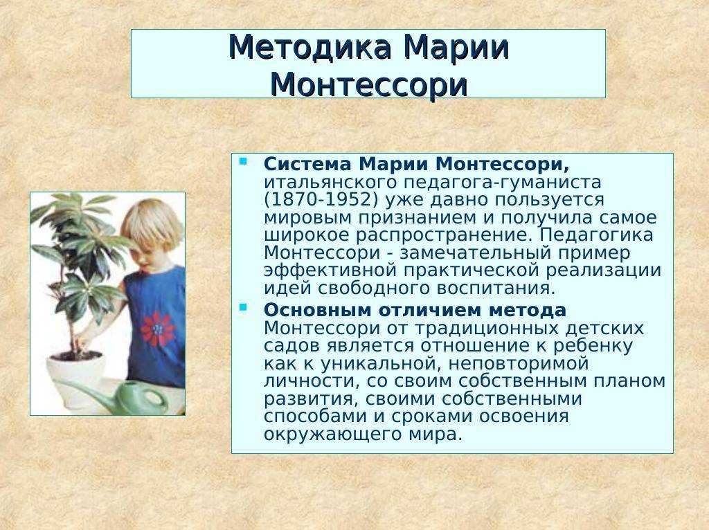 Чем хорош метод монтессори?